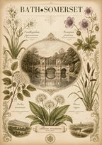 Bath, Somerset — Bath art print: pressed leaves framing a copperplate vignette of the abbey, drawn like a Georgian botanist's page.