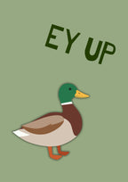Ey Up Duck – Allotment Sage art print: a mallard in flat side profile on an allotment sage ground with EY UP hand-lettered above