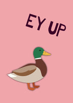 Ey Up Duck – Candyfloss Pink art print: a mallard in flat side profile on a candyfloss pink ground with EY UP hand-lettered above