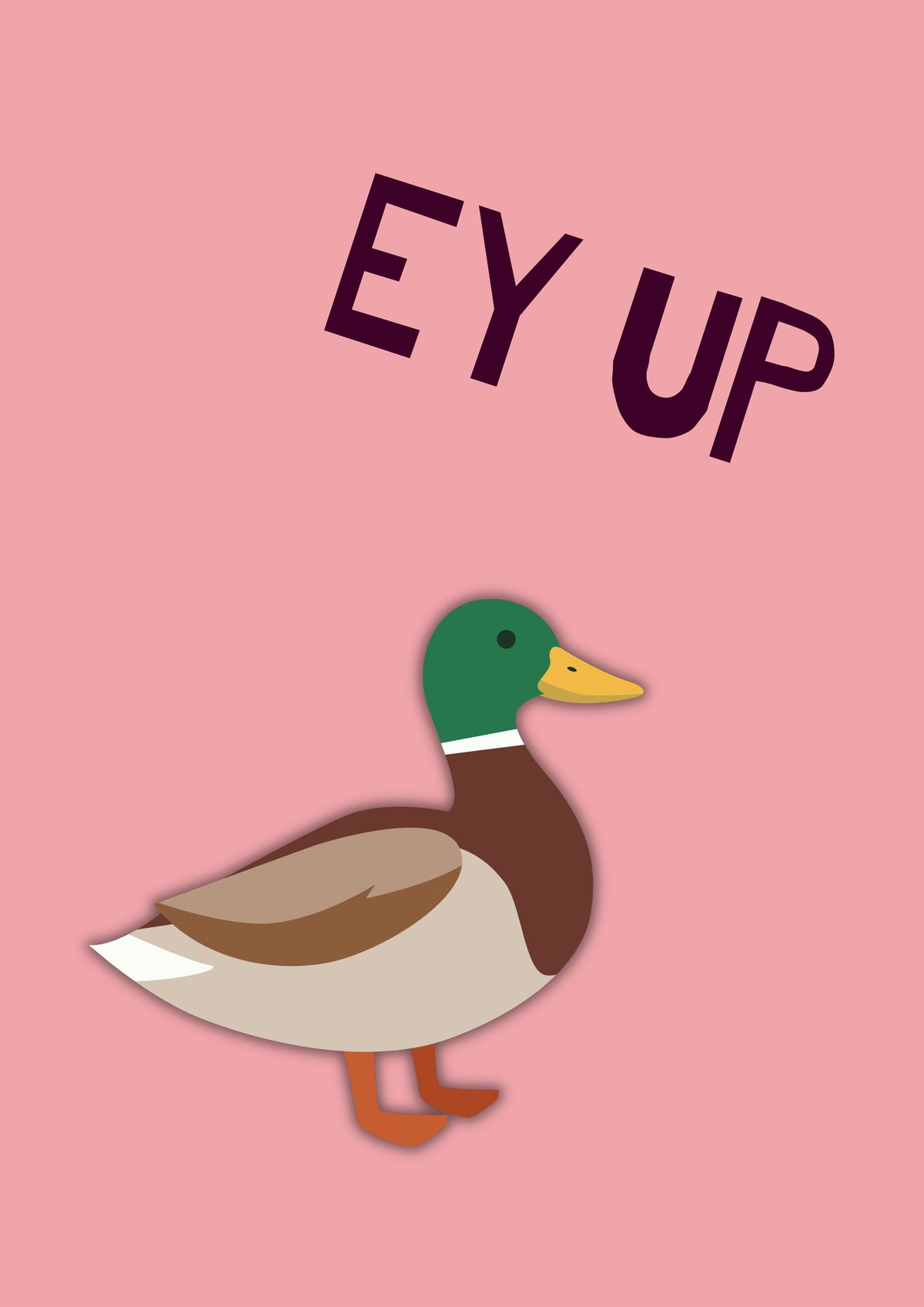 Ey Up Duck – Candyfloss Pink art print: a mallard in flat side profile on a candyfloss pink ground with EY UP hand-lettered above