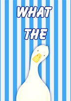 What The Duck – Deckchair Blue art print: a wide-eyed white duck on blue and white vertical stripes with WHAT THE in chunky outlined script
