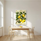 Citrus Limon — Capri art print, as an acrylic print, styled in a kitchen