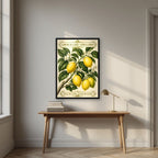 Citrus Limon — Capri art print, in a black frame, styled in a desk