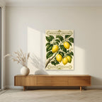 Citrus Limon — Capri art print, unframed poster, styled in a living room